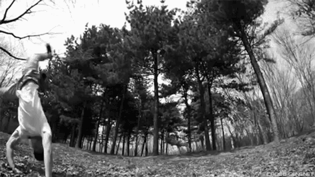 a man is doing a handstand in the woods in a black and white photo .