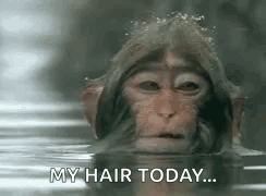 Unbothered Hair GIF - Unbothered Hair Fix GIFs