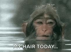 a monkey is swimming in the water and says `` my hair today ... '' .