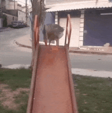 a dog is going down a slide at a playground .