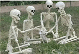 a group of skeletons are sitting in the grass holding hands and playing with a dog .