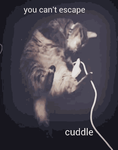Cat And Mouse Cuddle GIF - Cat And Mouse Cuddle Lily GIFs