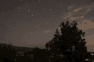 a night sky filled with lots of stars and a tree in the foreground