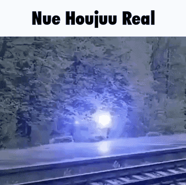 Real Touhou GIF - Real Touhou Nuehoujuu GIFs