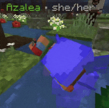 a screenshot of a video game with the name delkie written on it