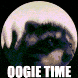a picture of a raccoon with the words " oogie time " written below it