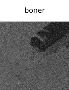 a black and white photo of a bottle with the word boner on it .