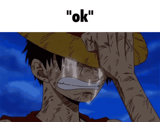 a man in a straw hat is crying with the words " ok " below him