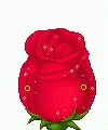Oui Rose GIF - Oui Rose Flower GIFs