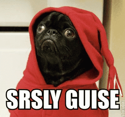a pug dog wearing a red hoodie with the words srsly guise written on it