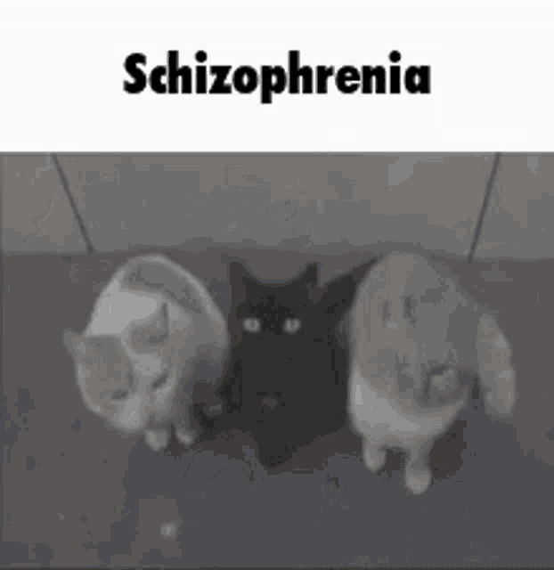 Discord Schizophrenia GIF - Discord Schizophrenia GIFs