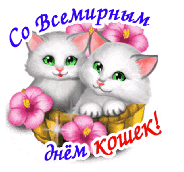 two kittens sitting in a basket with pink flowers and the words " со всемирным днем кошек "