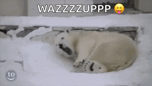 a polar bear is laying on its back in the snow with the words wazzzzupp written above it