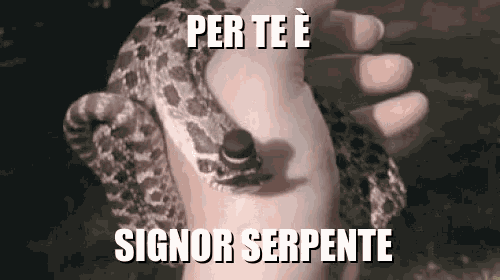 a person is holding a snake in their hand with a caption .