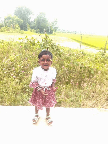 a little girl in a red and white dress stands in front of a field of flowers