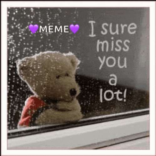 a teddy bear is looking out a window with the words " i sure miss you a lot " written on it