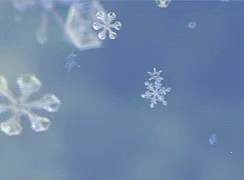 Snowing Snowflakes GIF - Snowing Snowflakes Snow GIFs