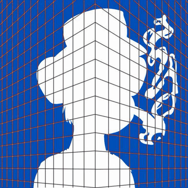 a silhouette of a woman is behind a grid