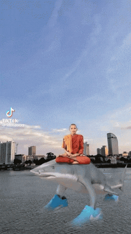 a man is sitting on the back of a shark with a city in the background