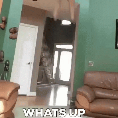 Whats Up Ceiling GIF - Whats Up Ceiling Fall GIFs