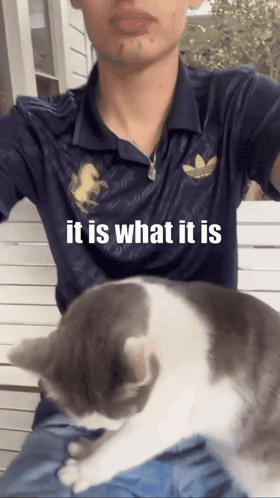 a man in an adidas shirt holds a cat in his lap