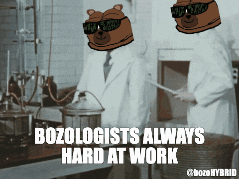 bozologists always hard at work with two bears on their head