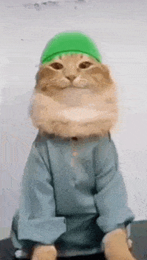 a cat wearing a green hat and a blue sweater .