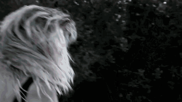 a woman with long white hair is standing in a dark room .