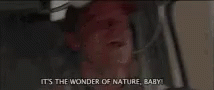 Wonders Of Nature Baby GIF - Wonders Of Nature Baby Shouting GIFs