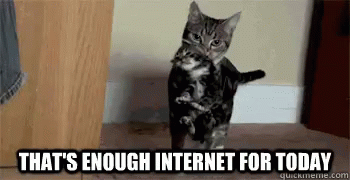 Internet Cats GIF - Internet Cats Enough GIFs