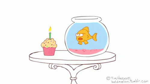 Fish Birthday Party GIF - Fish Birthday Party Birthday GIFs