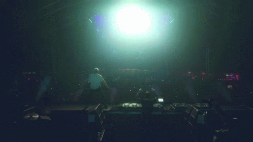 Rave Party GIF - Rave Party Concert GIFs
