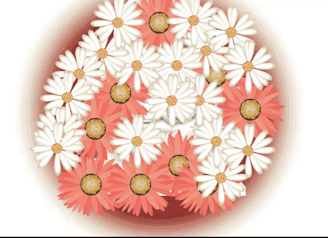 a bunch of pink and white daisies with yellow centers on a white background