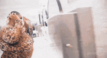 a woman in a leopard print dress looks at herself in a mirror with the word zeus on the bottom