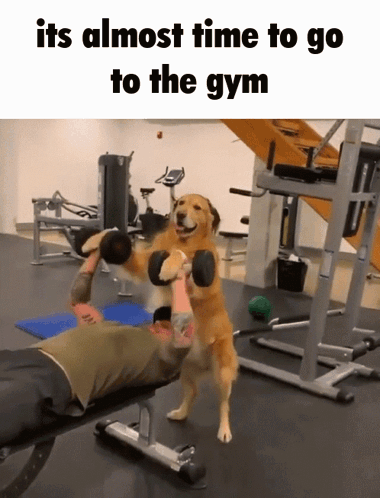 Its Almost Time To Go The Gym GIF - Its Almost Time To Go The Gym GIFs