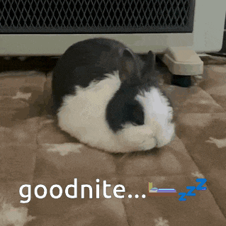 a black and white rabbit is laying on a blanket with the words goodnite written on it