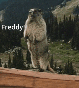 a ground squirrel standing on its hind legs with the words freddy written above it
