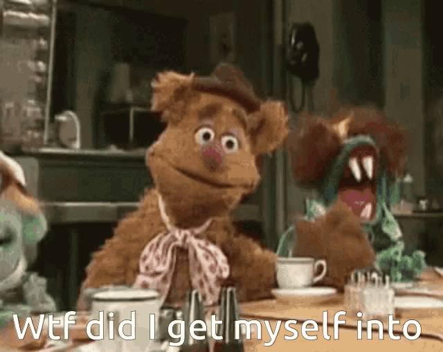 a teddy bear sitting at a table with the words wtf did i get myself into on the bottom