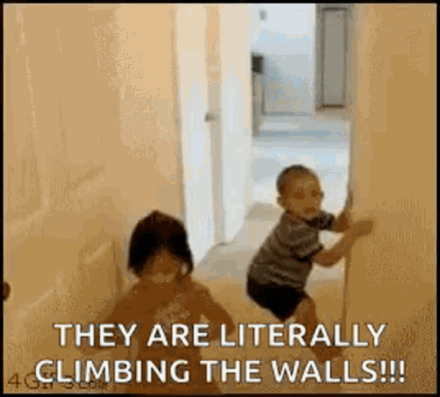 Climbing The Wall Kids GIF - Climbing The Wall Kids Drop GIFs