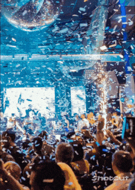 a shotout photo of a crowd at a disco party