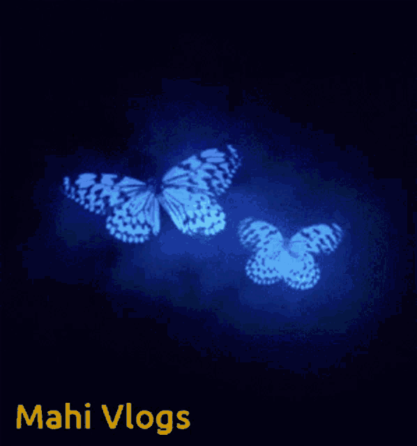 two blue butterflies on a dark background with mahi vlogs in yellow