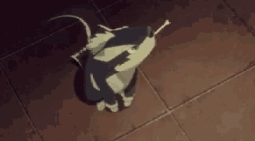 a cartoon animal is sitting on a tiled floor with a stick in its mouth .