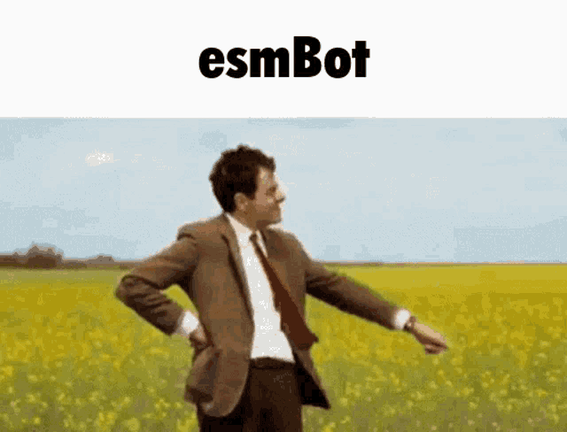 Esm Bot Discord GIF - Esm Bot Discord Mr Bean GIFs