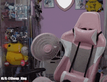 a sheep xing sign hangs above a pink chair