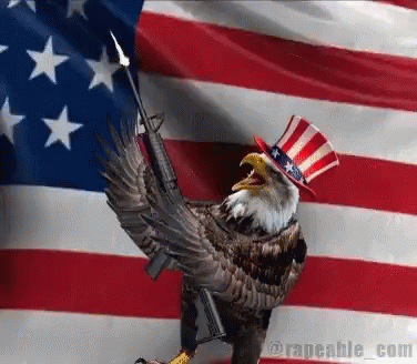Freedom America GIF - Freedom America GIFs