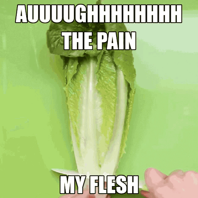 a person is cutting lettuce with the words " the pain my flesh " on the bottom