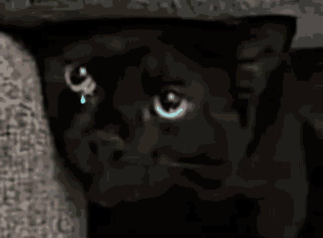 Crying Black Cat GIF - Crying Black Cat Boobli GIFs