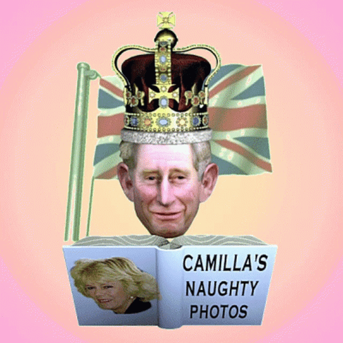 King Charles Camilla GIF - King Charles Camilla King Charles Book GIFs