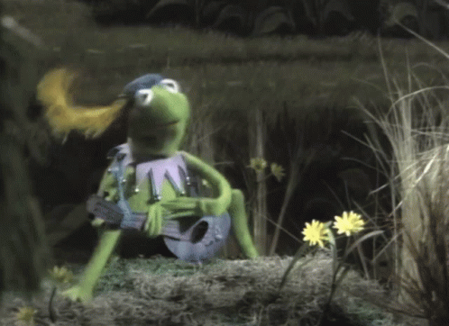 Kermit The Frog Lute GIF - Kermit The Frog Lute Muppet GIFs