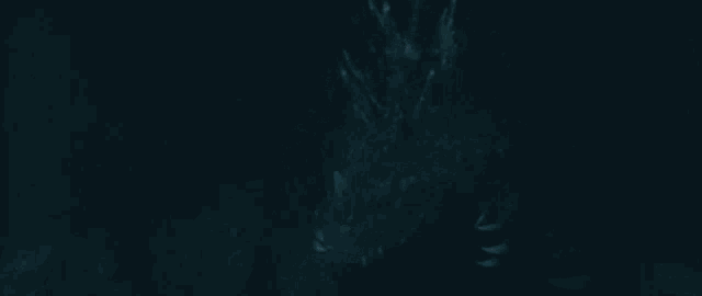 a close up of a crocodile 's head in the dark .